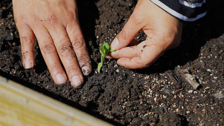 El ciclo impartido por el Instituto de investigación entregó diversas herramientas para un mejor manejo de huertas sustentables. 