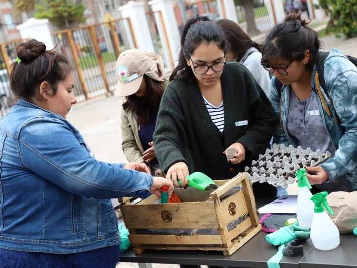 Ven a la huerta de Gabriela y conoce diversas técnicas de huertería y terapia hortícola.