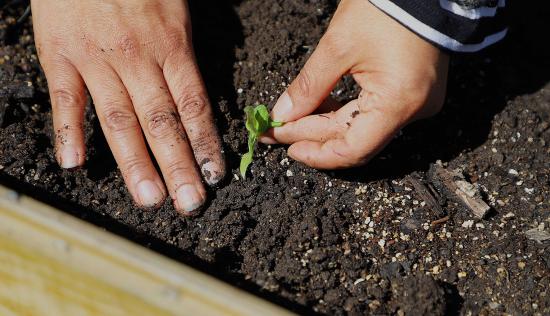 El ciclo impartido por el Instituto de investigación entregó diversas herramientas para un mejor manejo de huertas sustentables. 