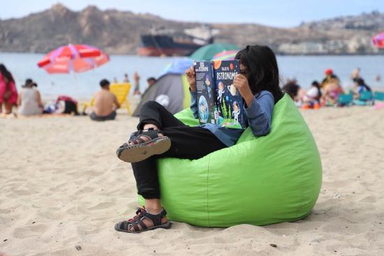 Conoce toda la programación de este verano 2025 ingresando en nuestras redes sociales y www.bibliotecagabrielamistral.gob.cl. 